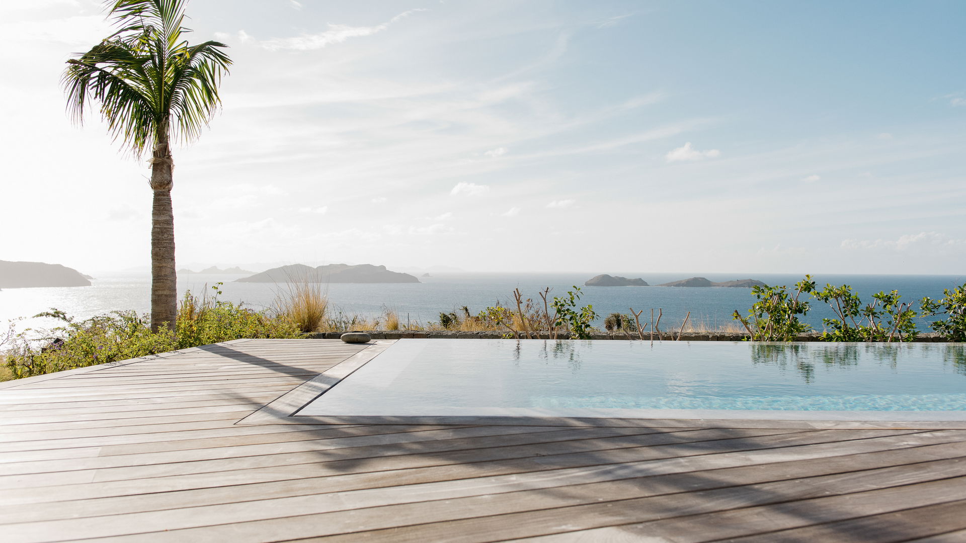 POOL & TERRACE