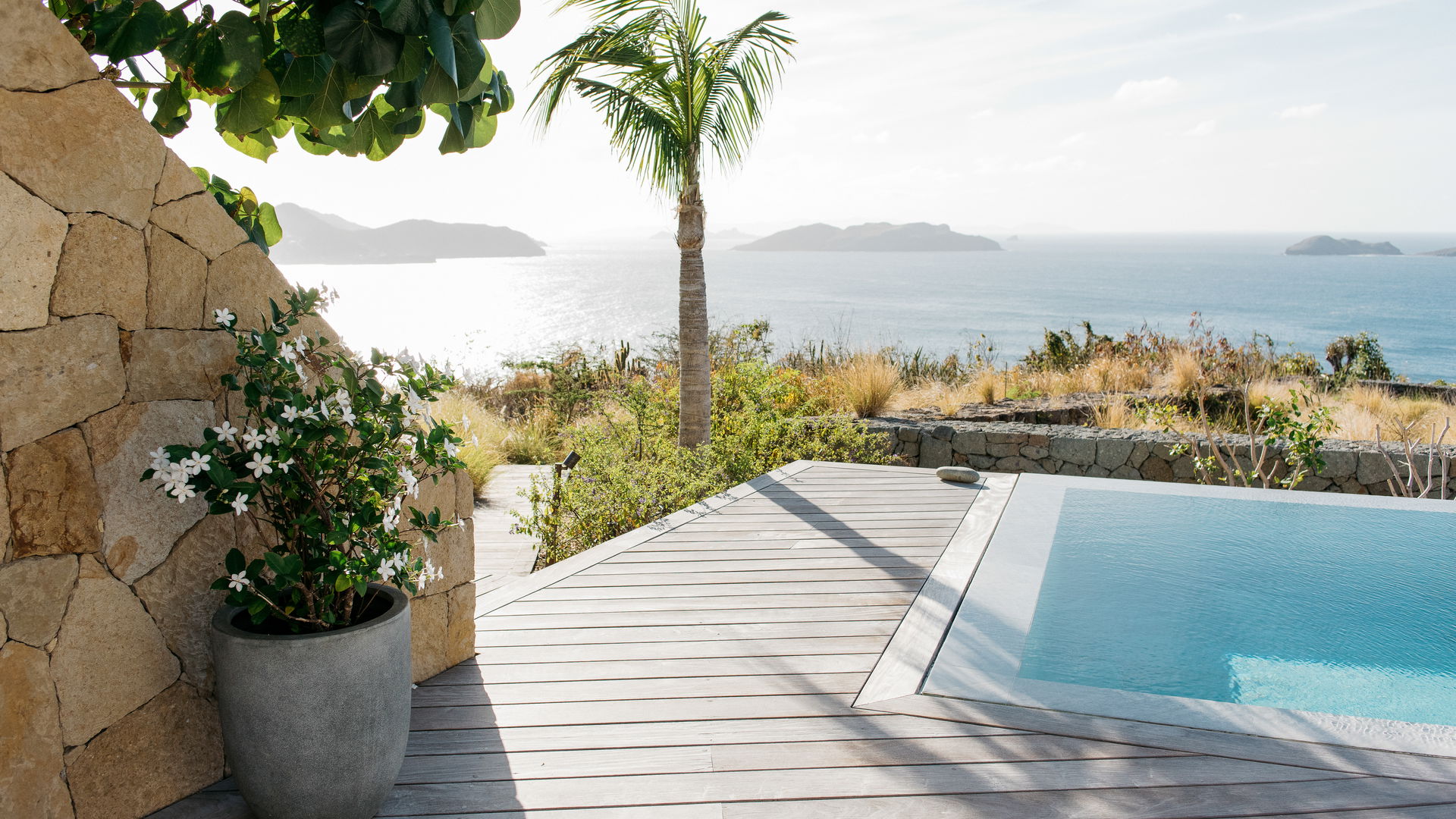 POOL & TERRACE