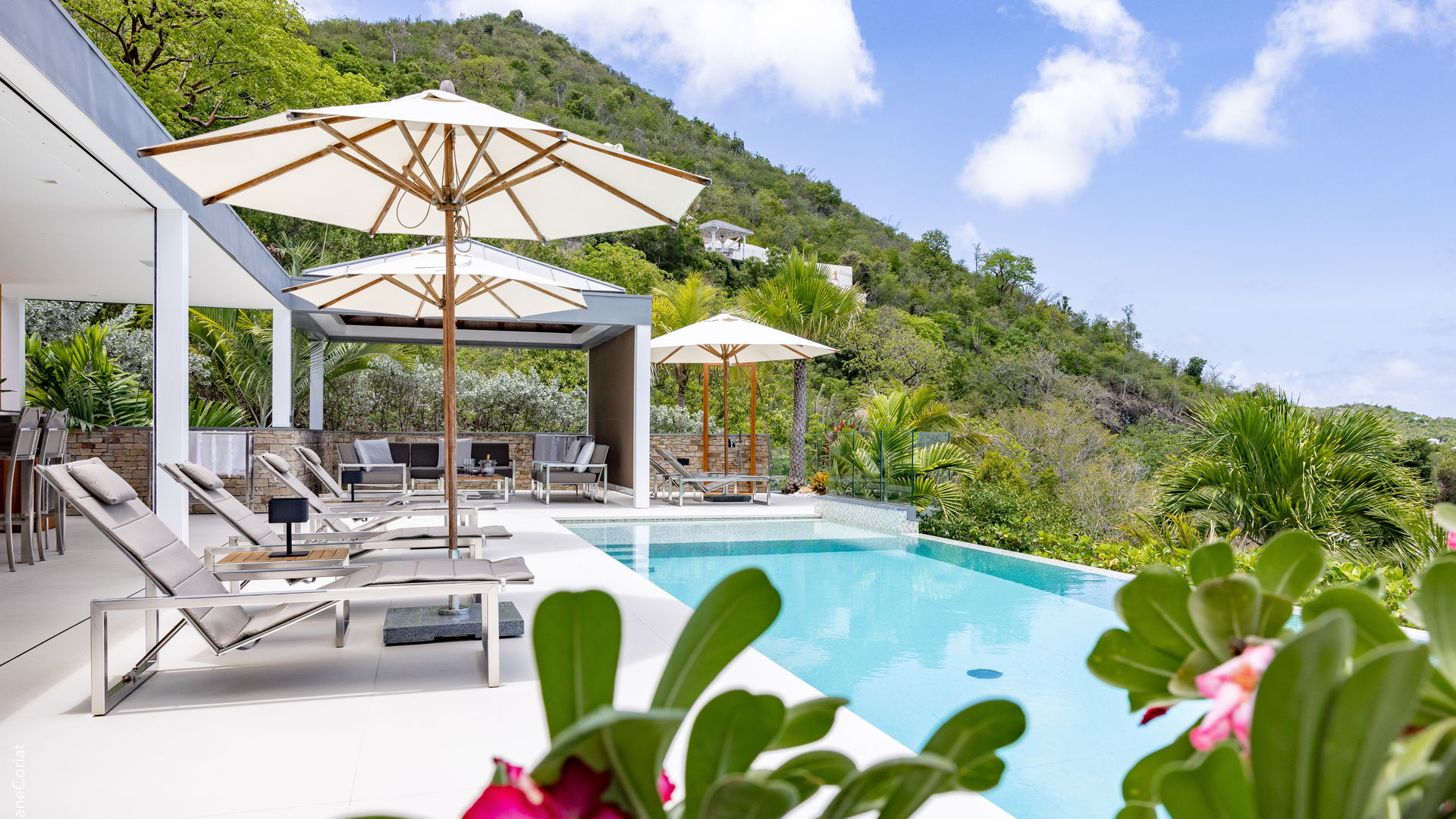 POOL & TERRACE