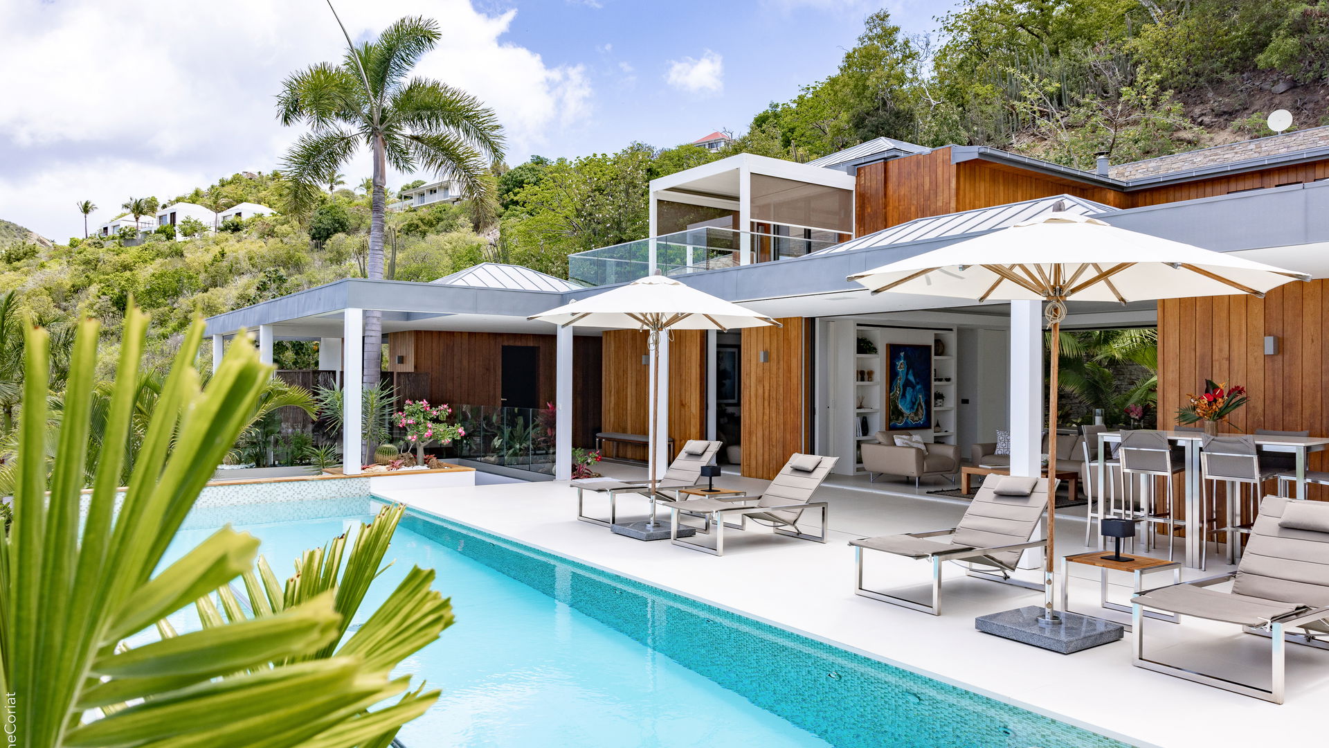 POOL & TERRACE