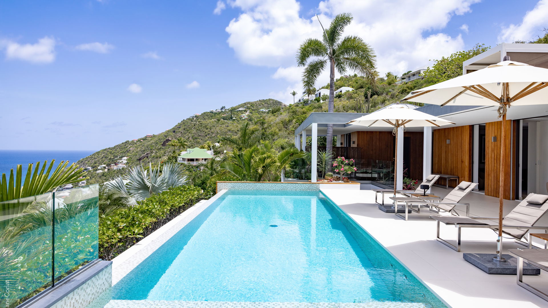 POOL & TERRACE