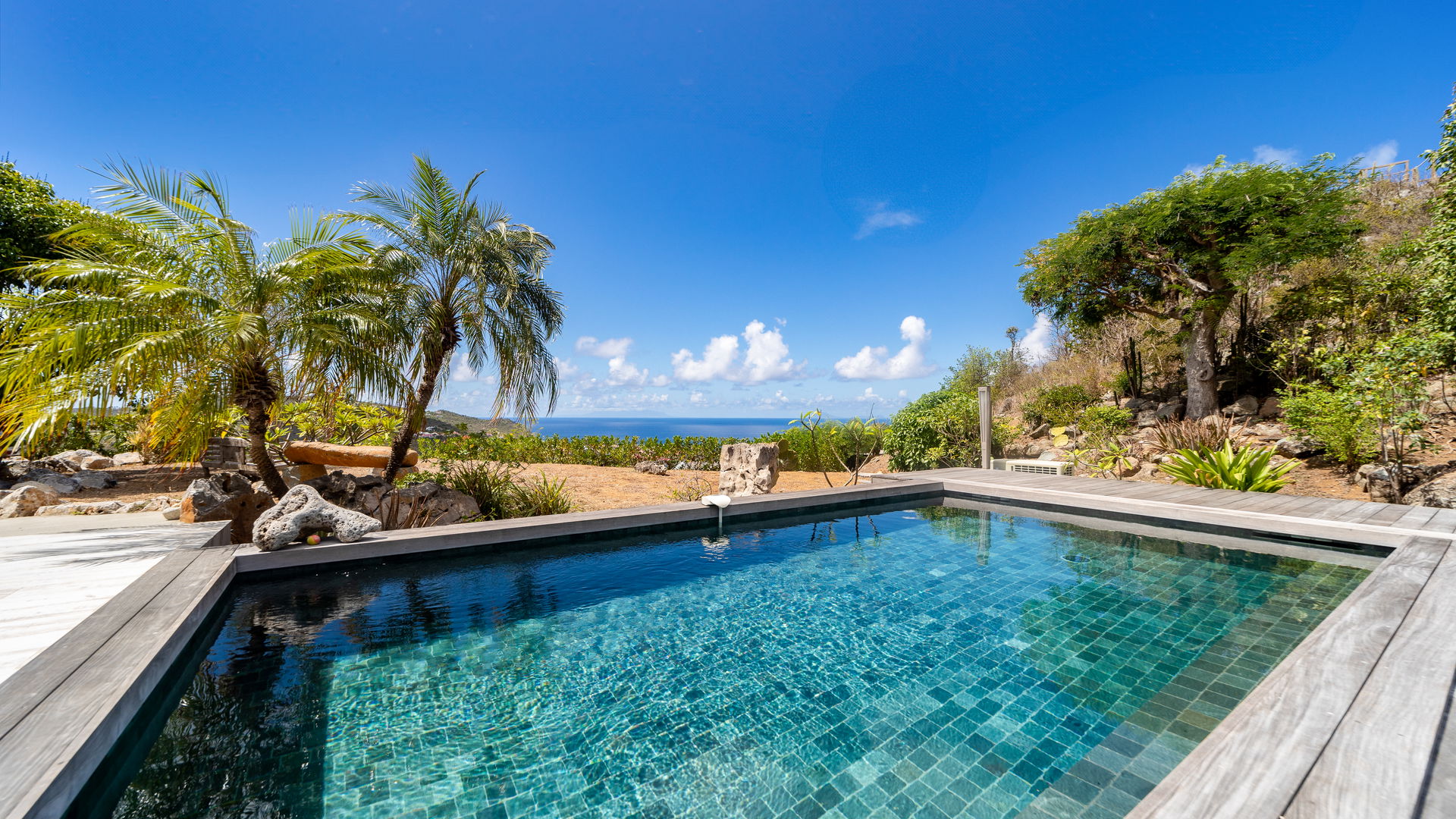 POOL & TERRACE