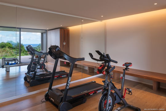 VILLA LES PALMES FITNESS AREA 1