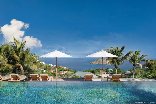 VILLA LES PALMES POOL & TERRACE 1