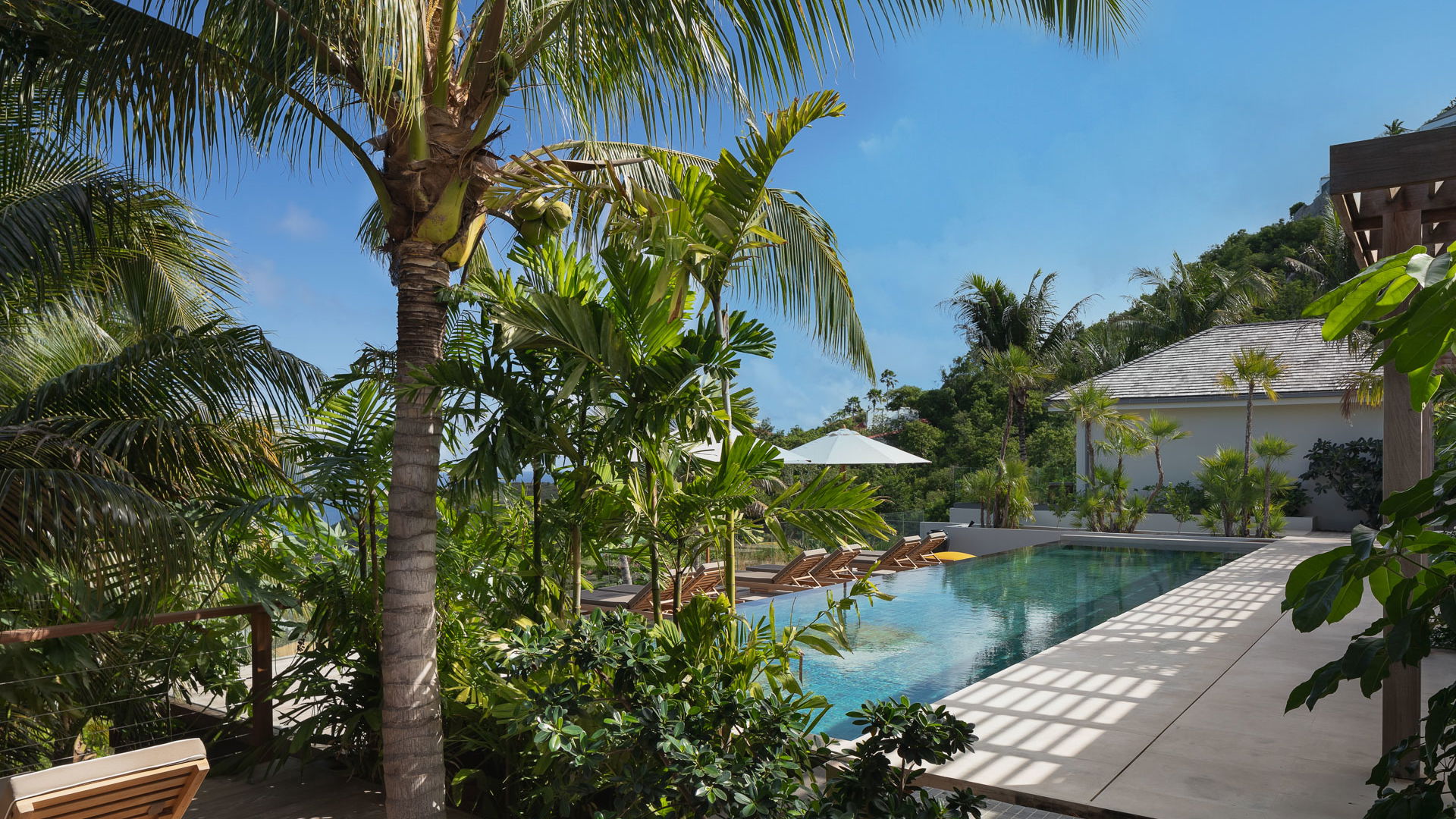 POOL & TERRACE