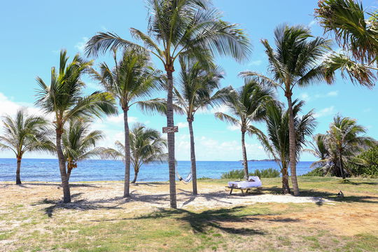 VILLA LUFFY OUTDOORS 2