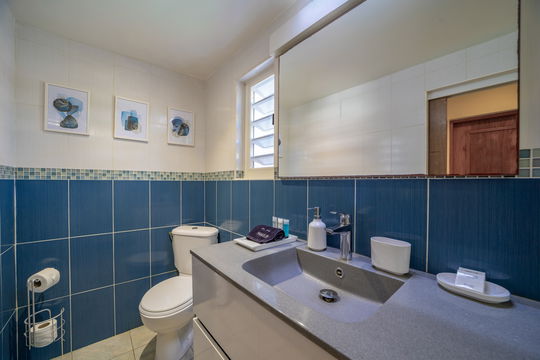 VILLA RAISINNIERS BEDROOM2 6