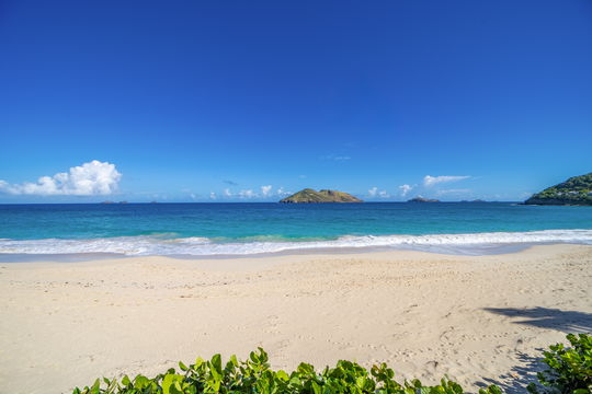 VILLA RAISINNIERS OUTDOORS 2