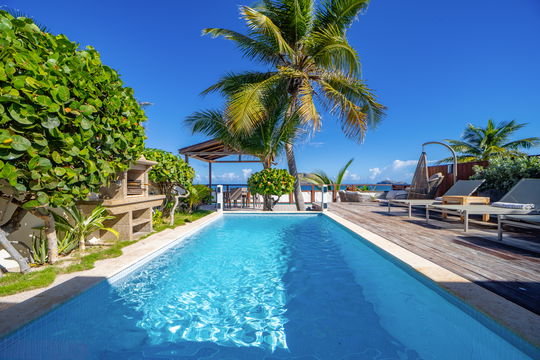 VILLA RAISINNIERS POOL & TERRACE 4