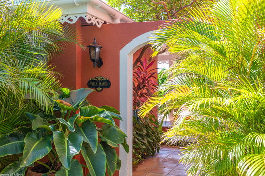 VILLA MANGO OUTDOORS 11