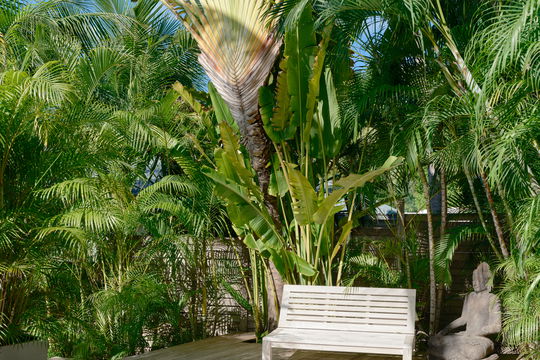 VILLA SAKURA OUTDOORS 2