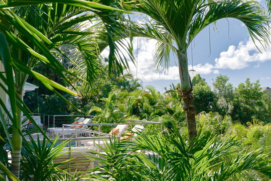 VILLA SAKURA OUTDOORS 4