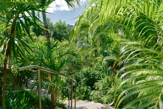 VILLA SAKURA OUTDOORS 5