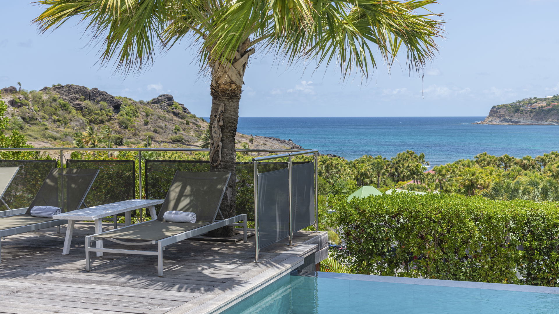 POOL & TERRACE