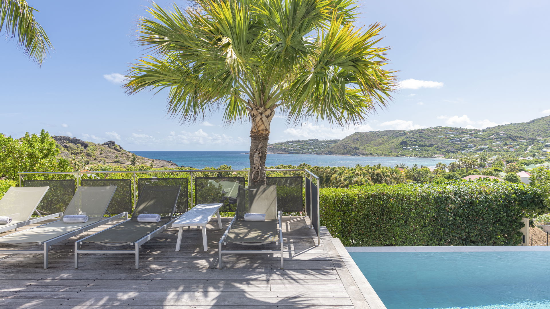 POOL & TERRACE