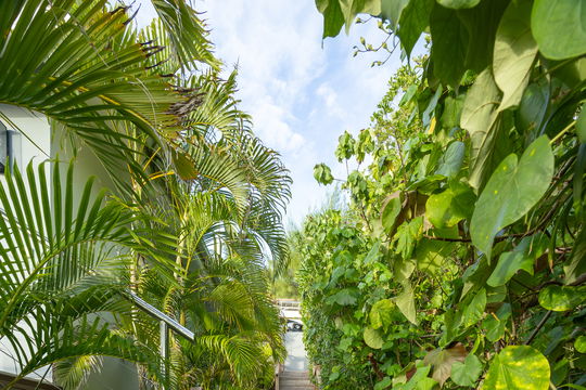 VILLA MIRANDE OUTDOORS 7