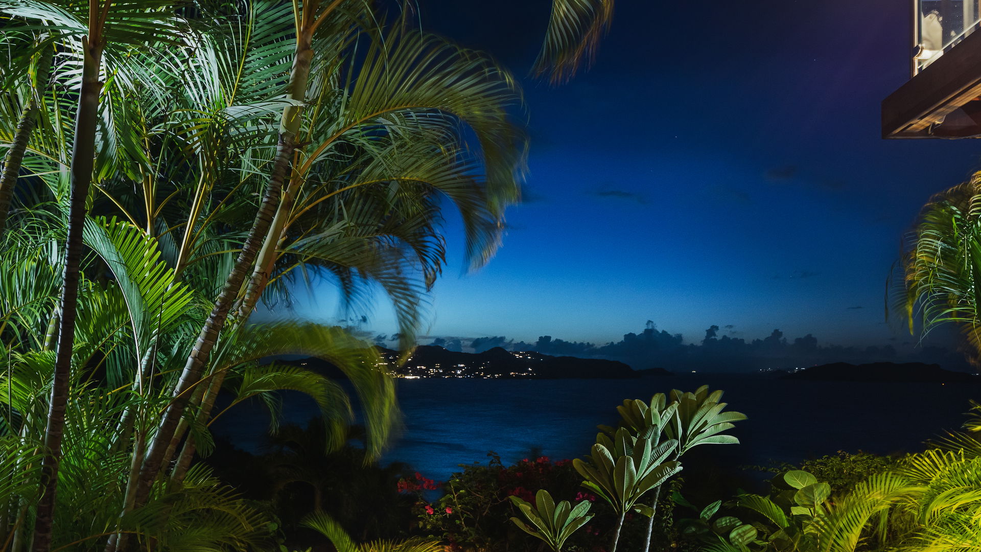 BY NIGHT
