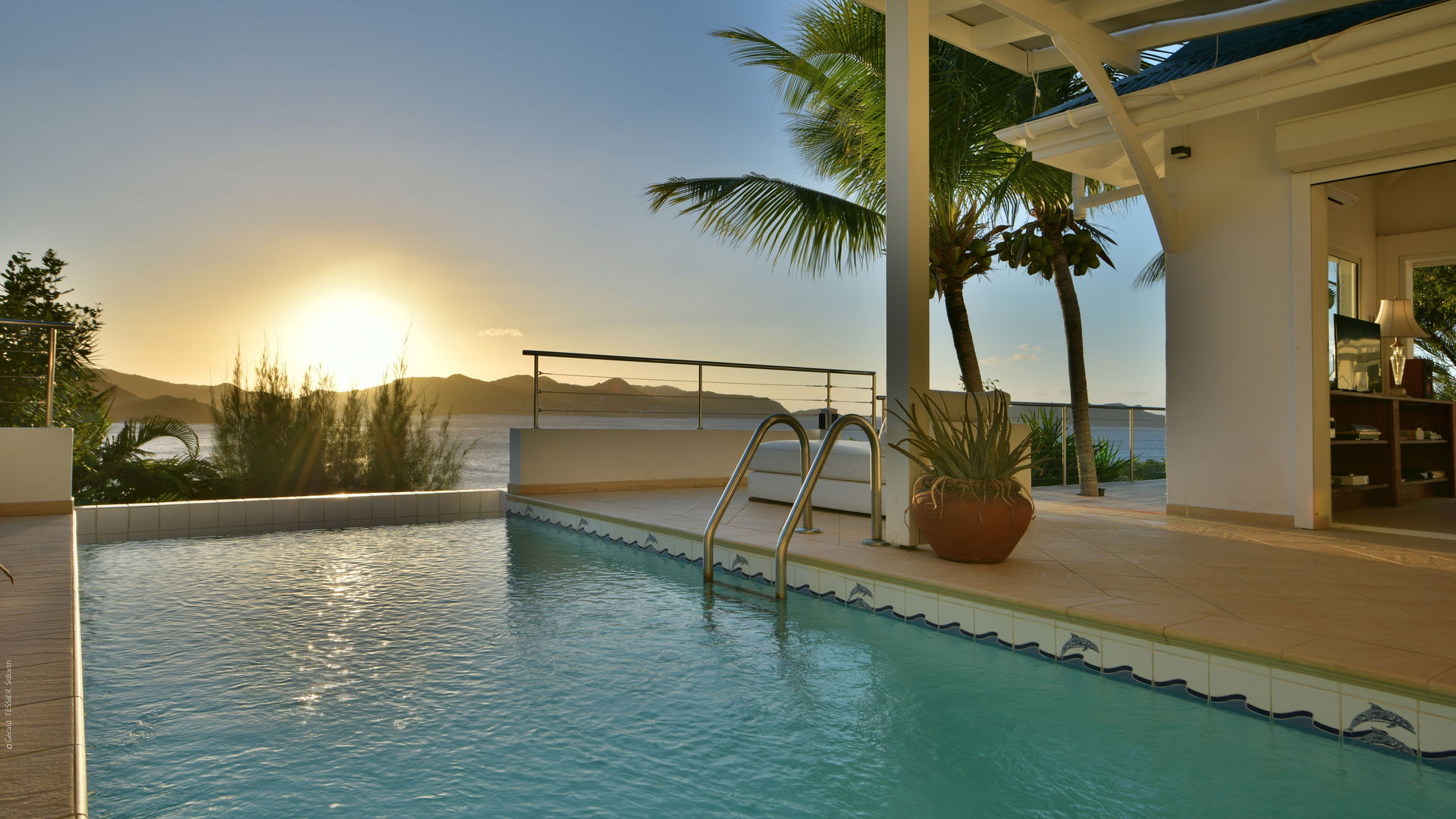POOL & TERRACE