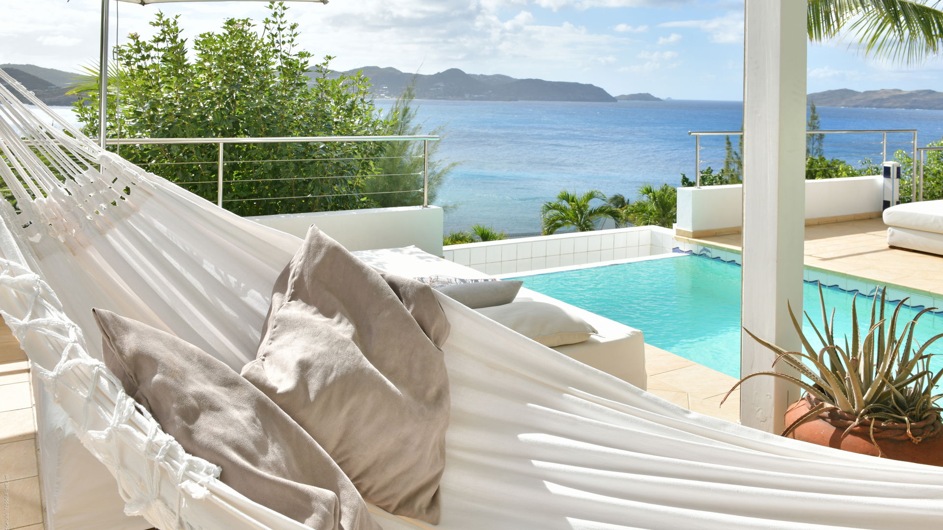 POOL & TERRACE