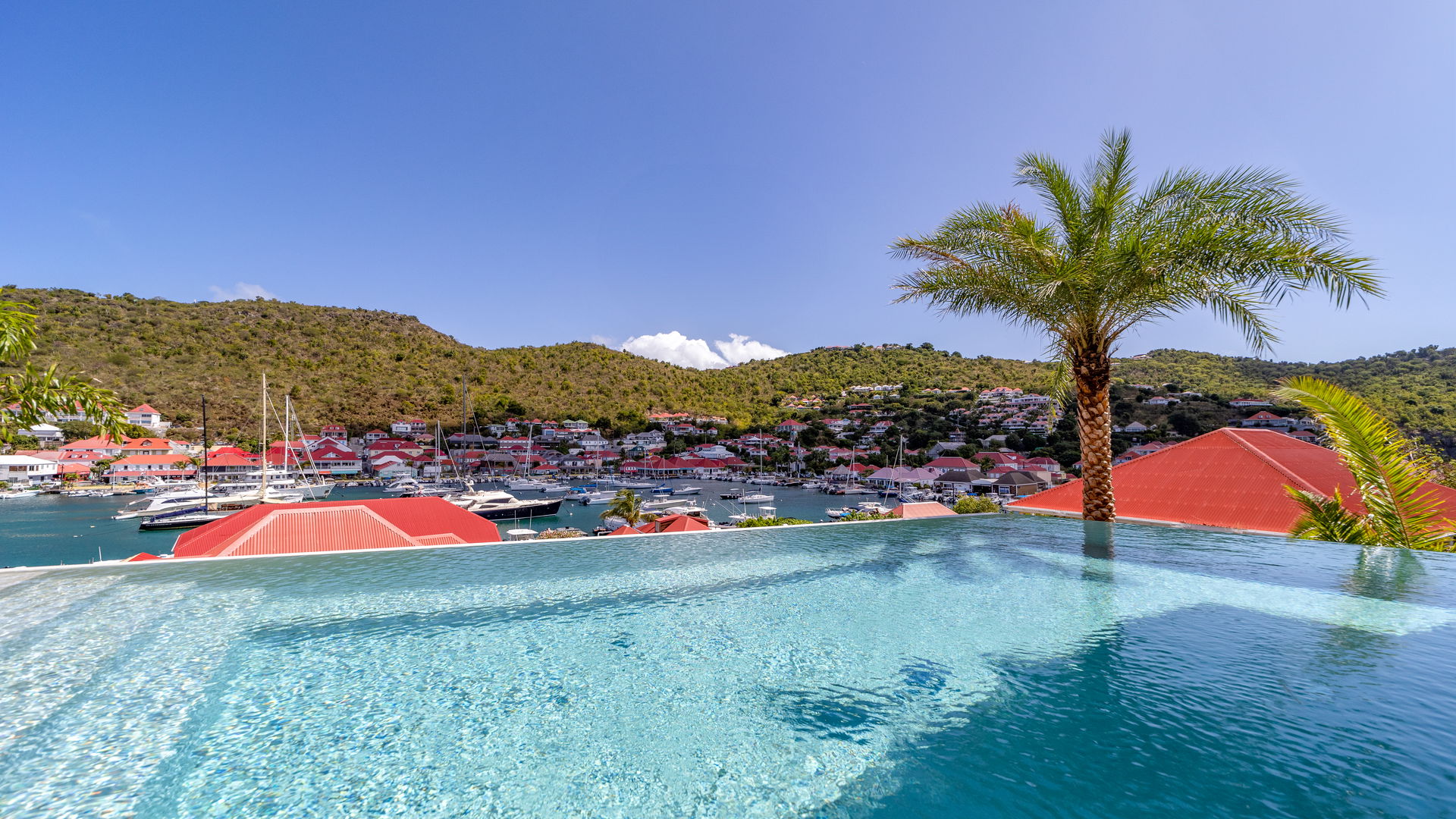 POOL & TERRACE