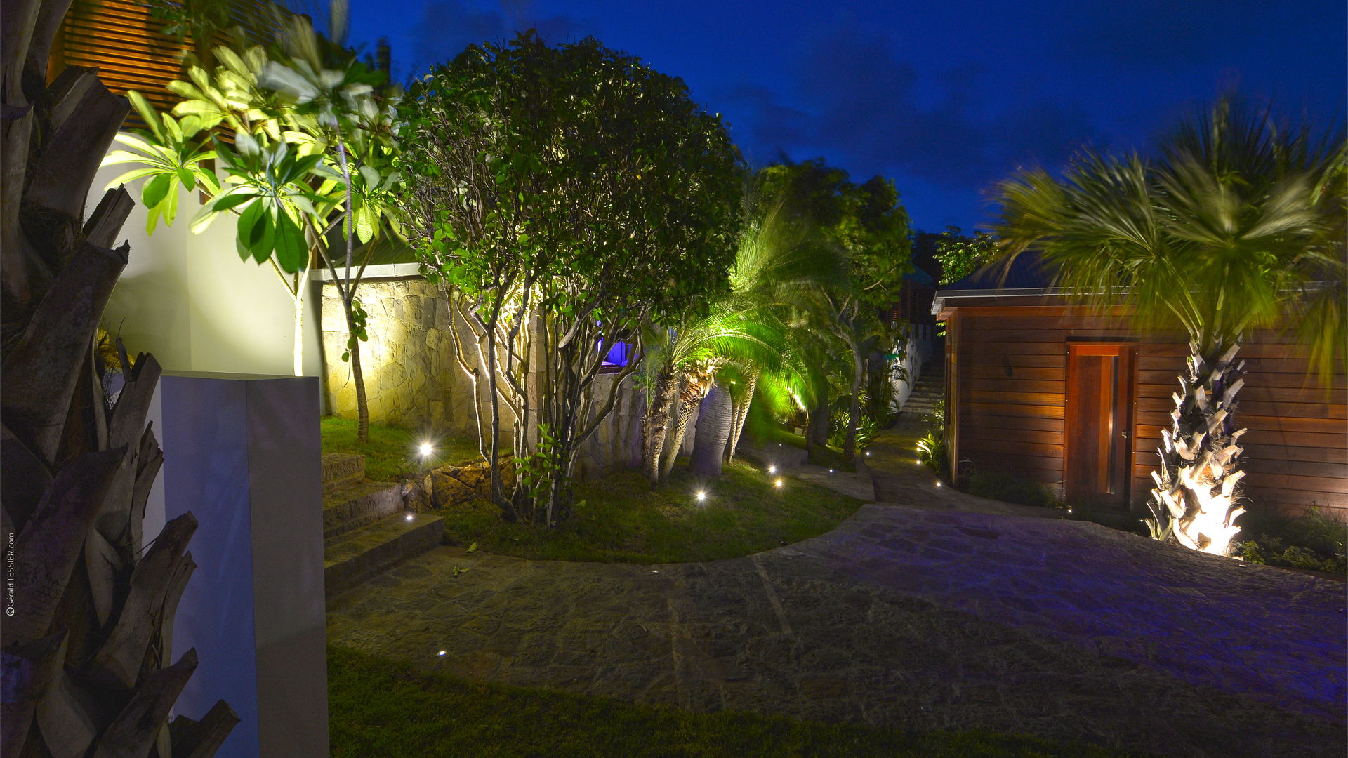 BY NIGHT