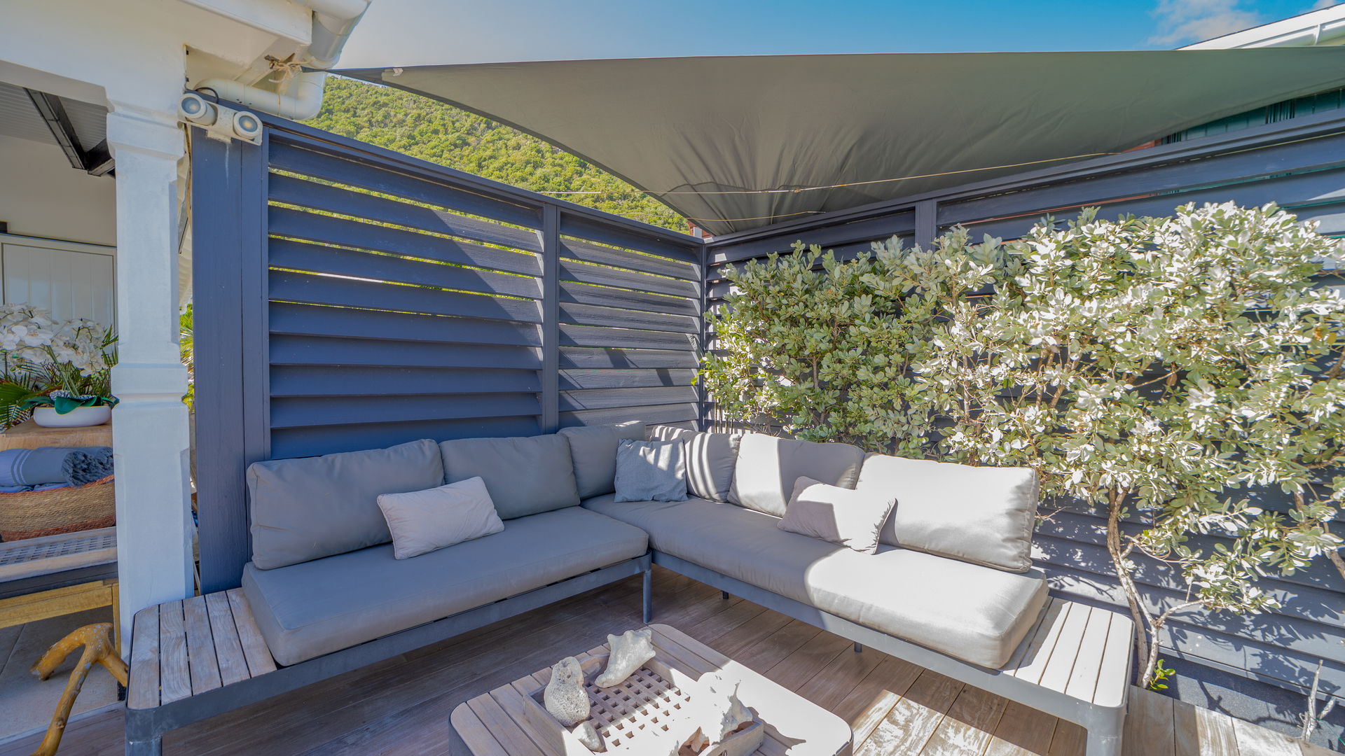 POOL & TERRACE