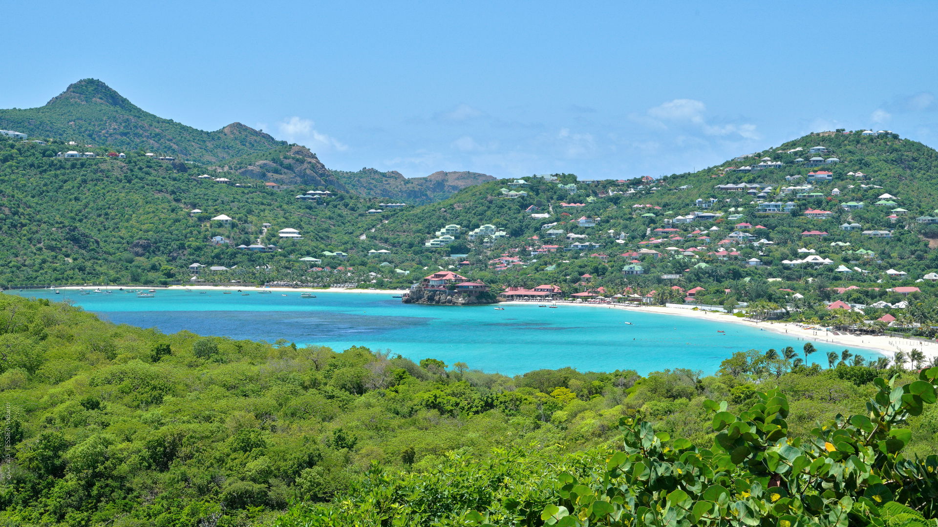 PANORAMIC VIEW