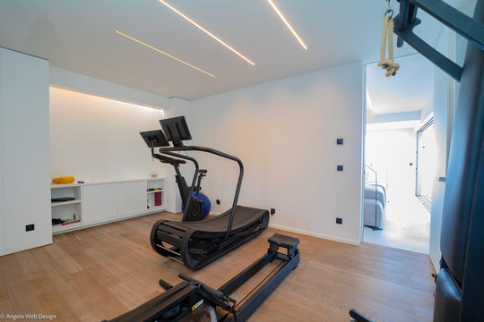 VILLA DOMINGUE FITNESS AREA 1