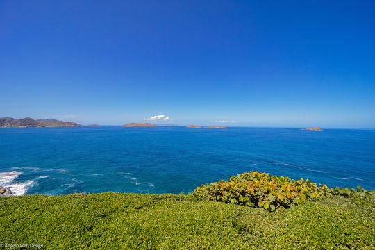 VILLA DOMINGUE OUTDOORS 2