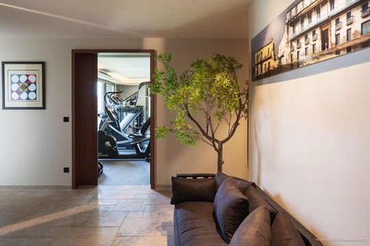 VILLA FELICITA FITNESS ROOM 2