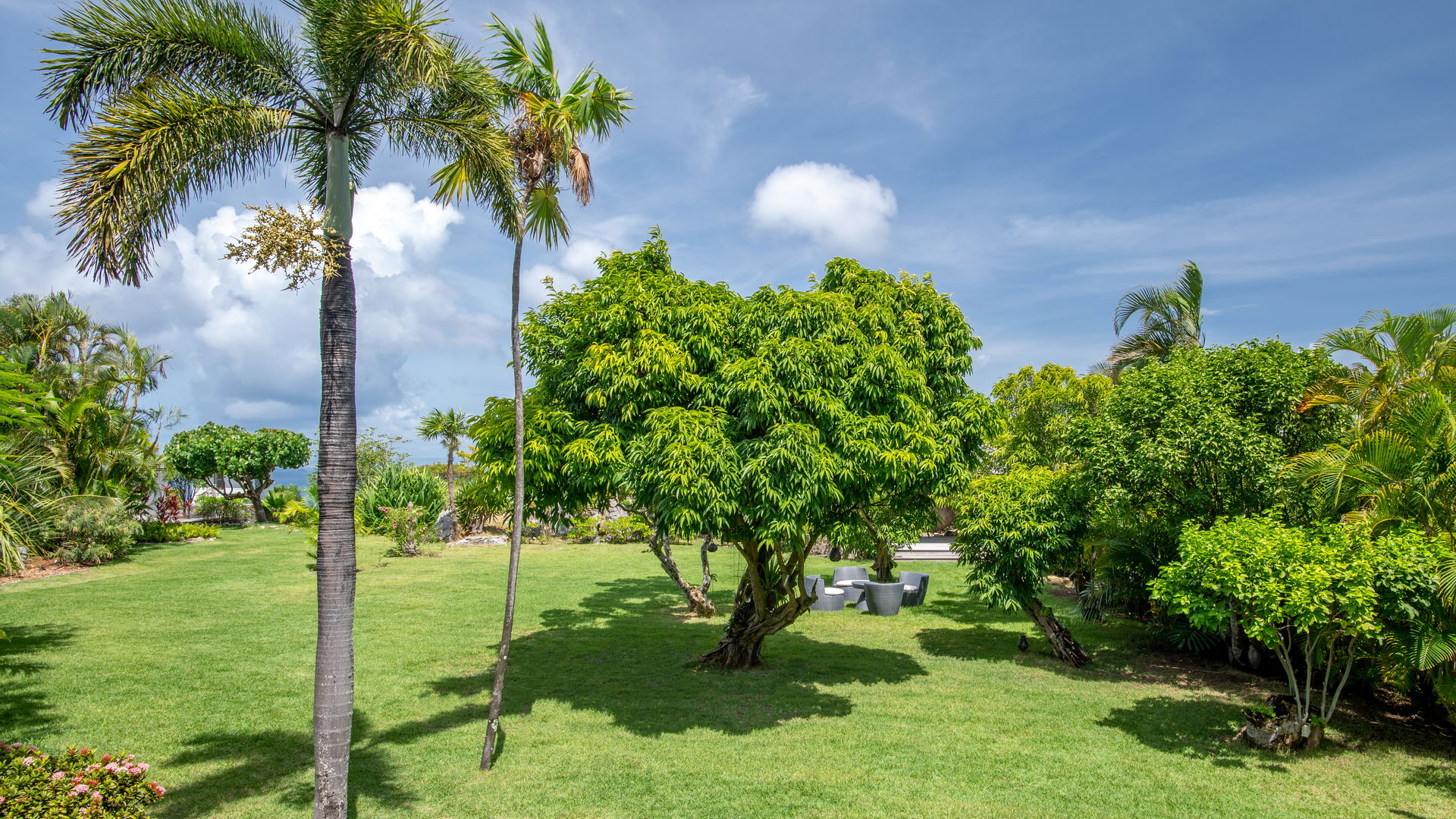 GARDEN