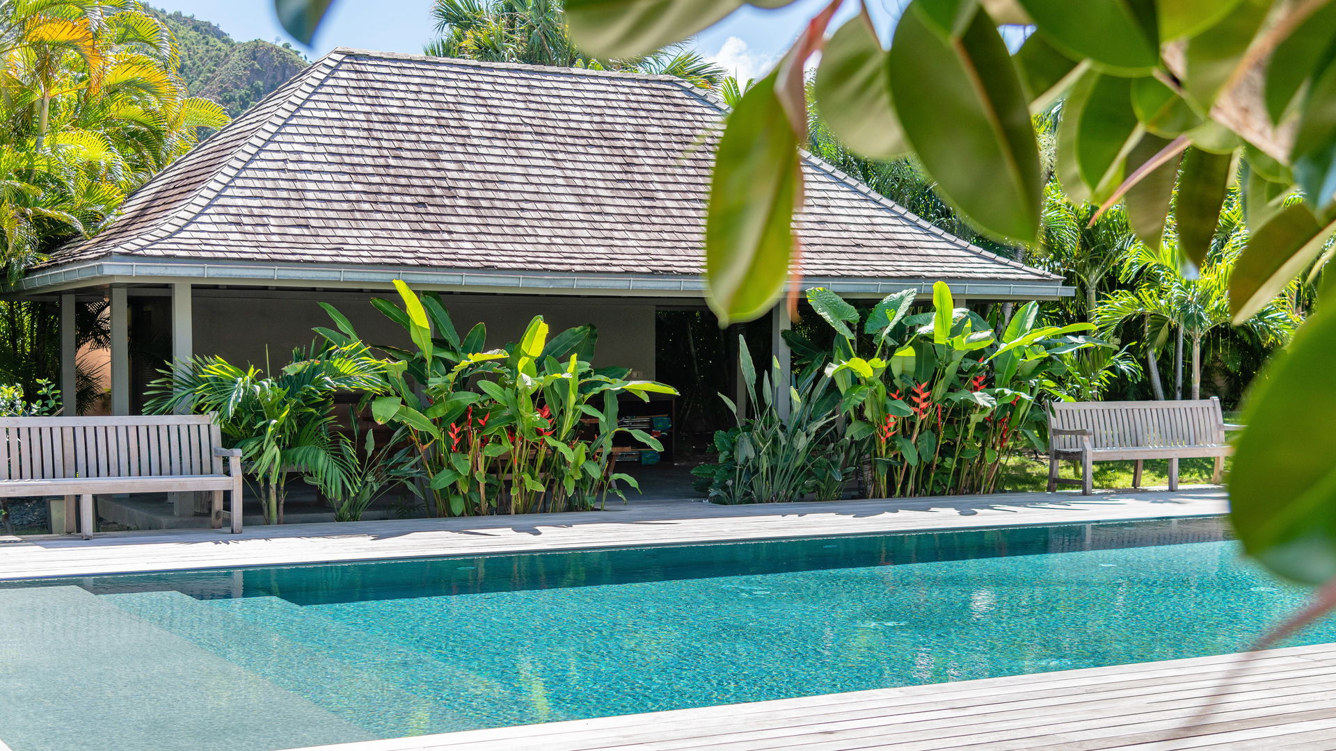 POOL & TERRACE