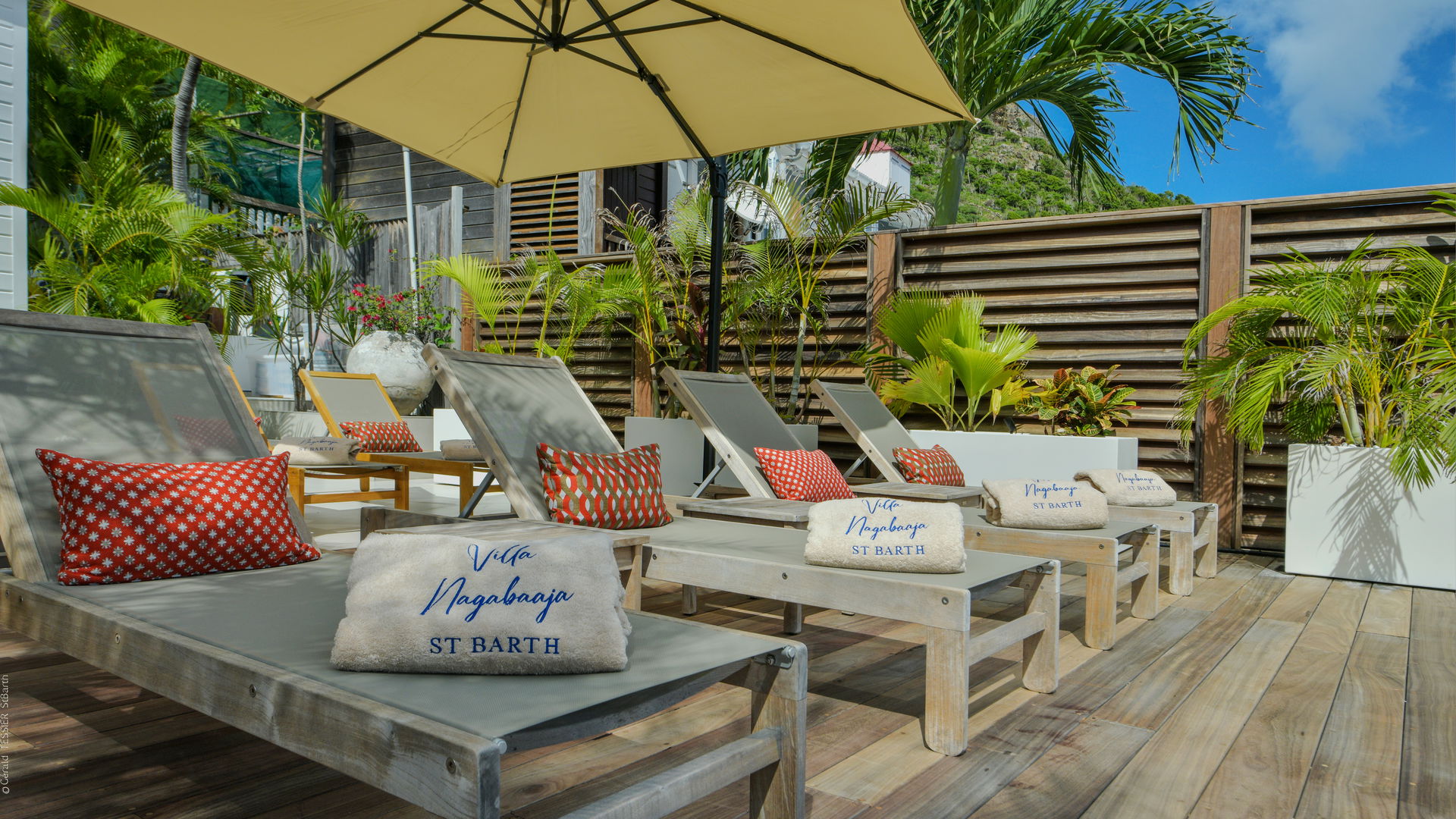 POOL & TERRACE