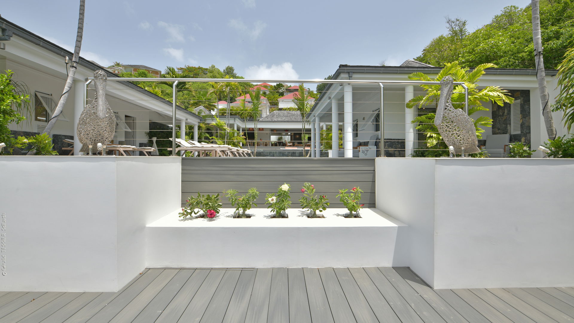 POOL & TERRACE