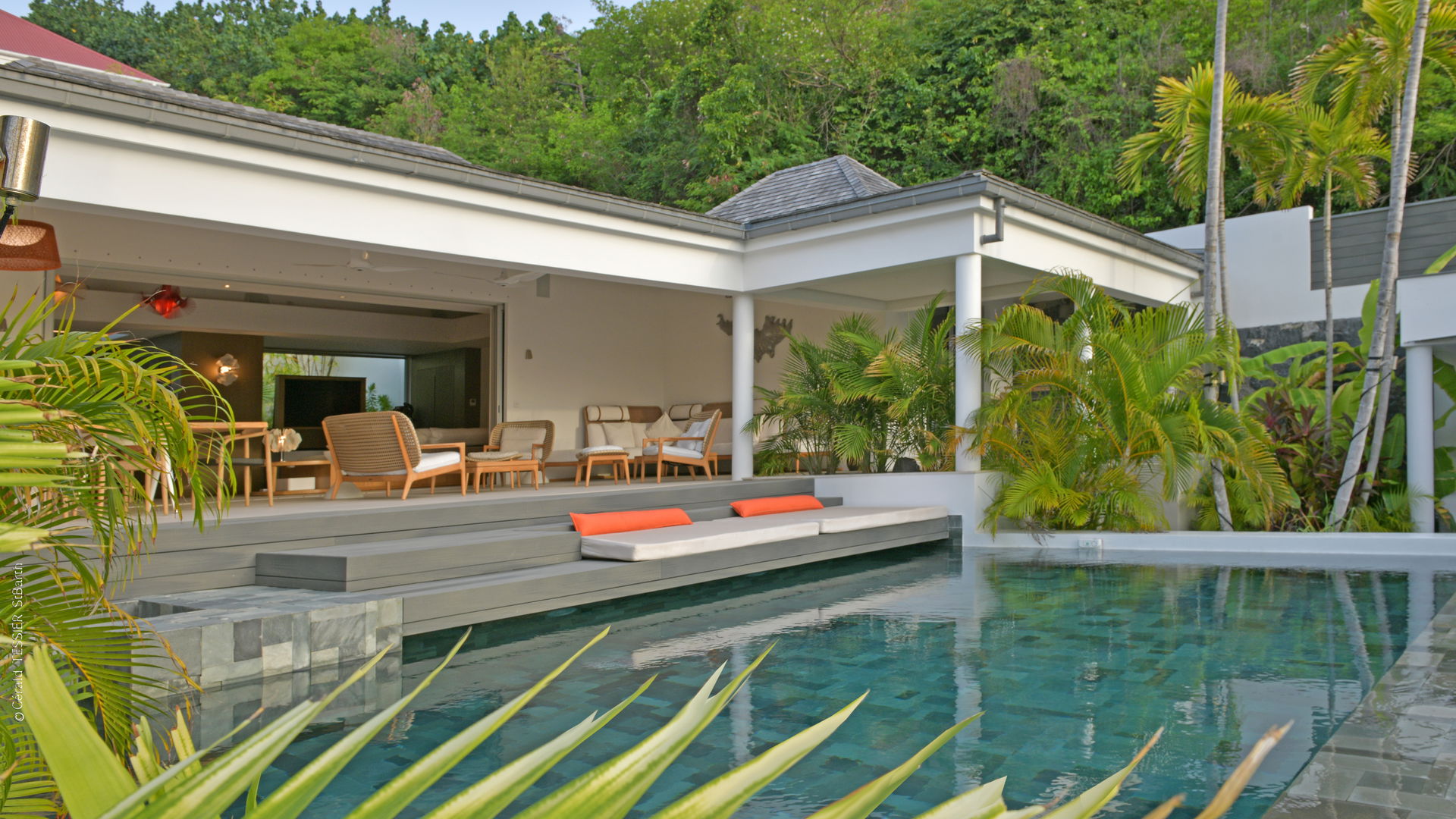POOL & TERRACE