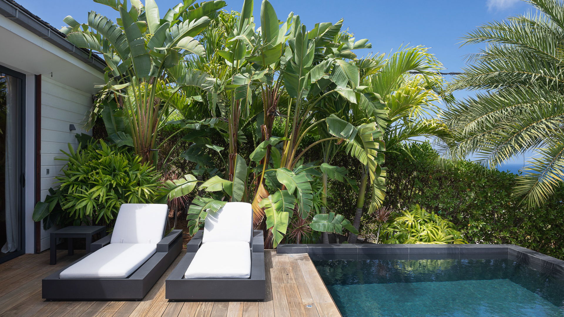 POOL & TERRACE