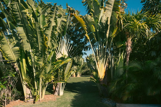 VILLA UNIK OUTDOORS 13