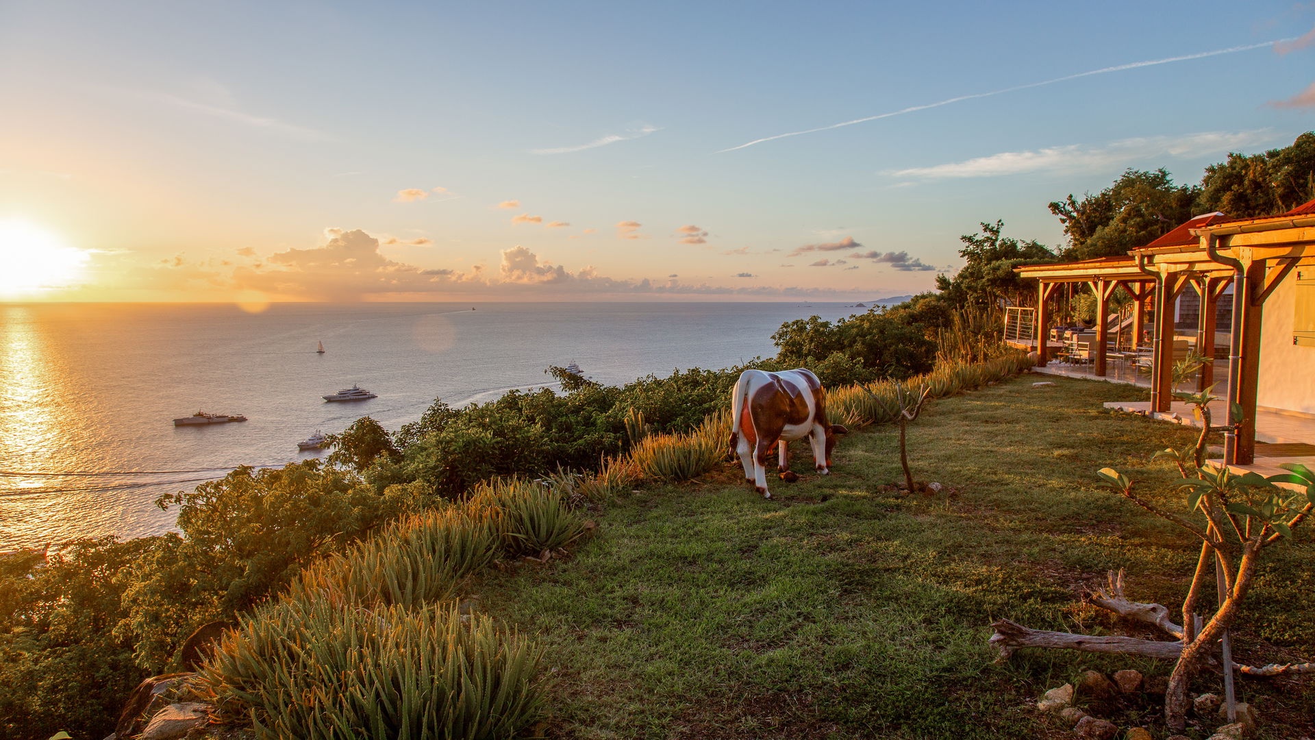 SUNSET VIEWS