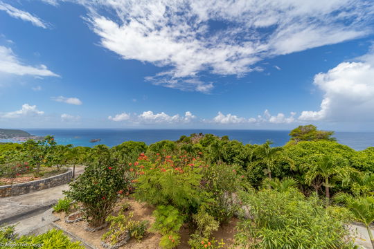 VILLA DORADE OUTDOORS 1