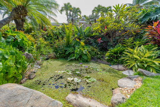 VILLA MARACUJA OUTDOORS 5