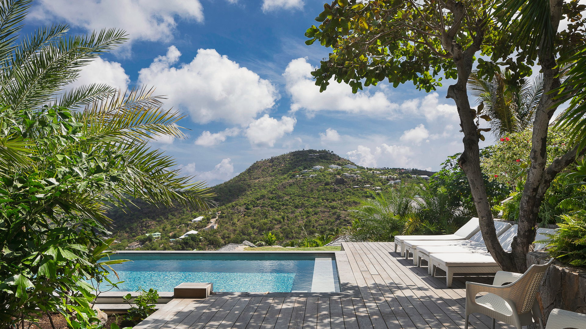 POOL & TERRACE