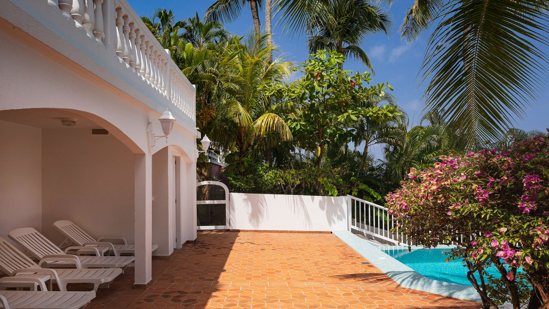 POOL & TERRACE