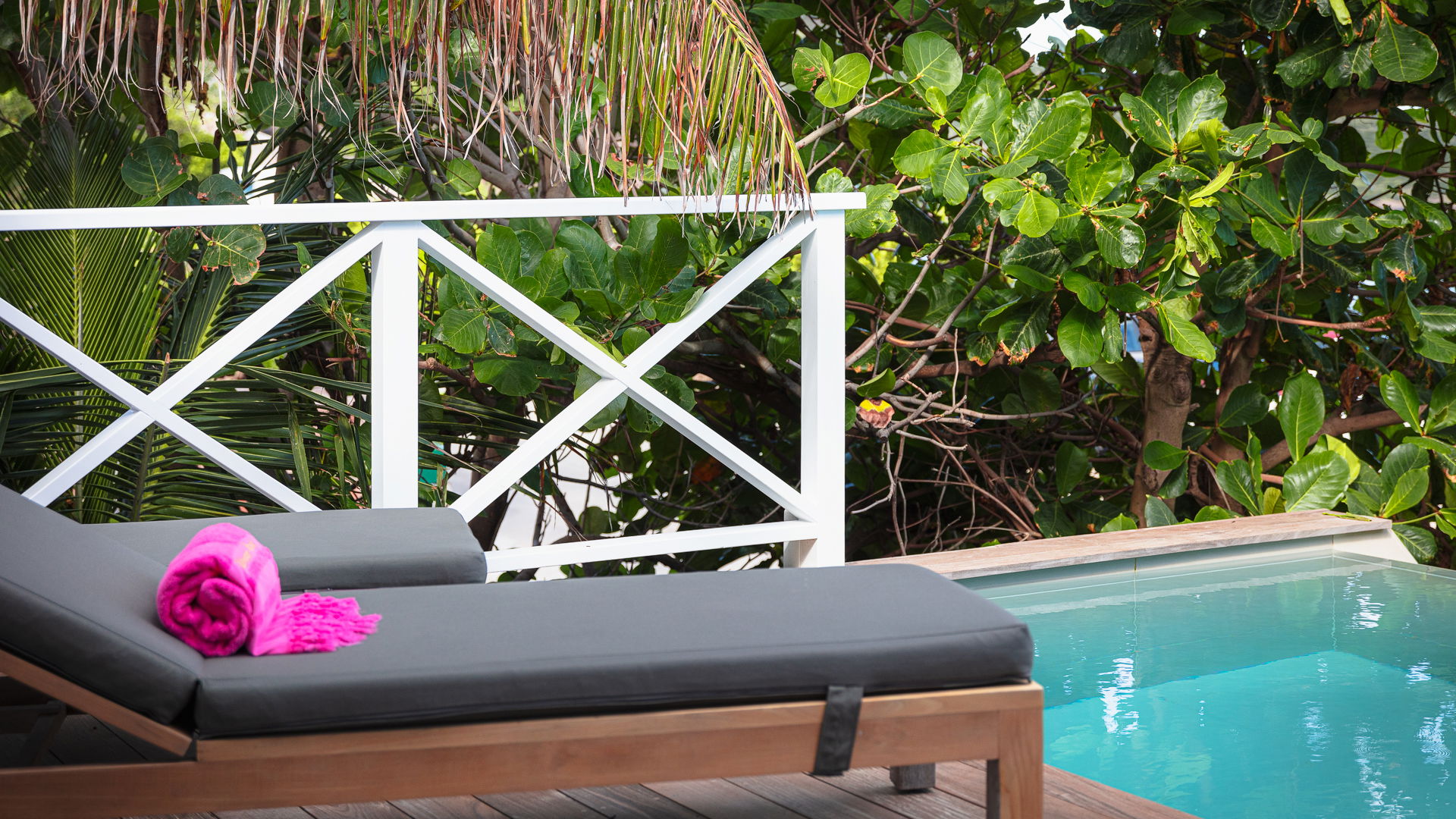 POOL & TERRACE