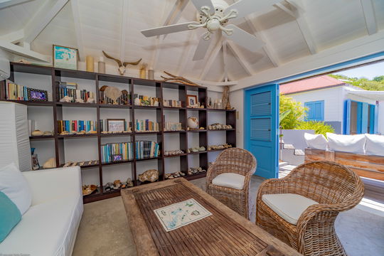 VILLA FABRIZIA LIBRARY 3