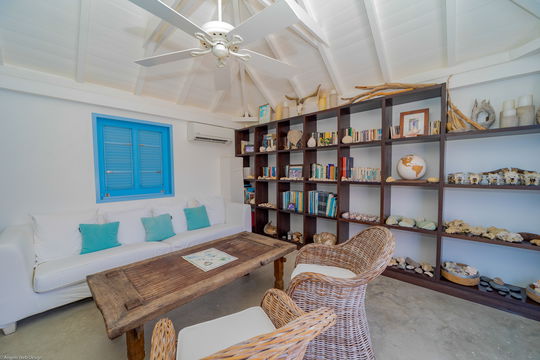 VILLA FABRIZIA LIBRARY 4