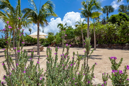 VILLA EDEN HOUSE BEACH ACCESS 10