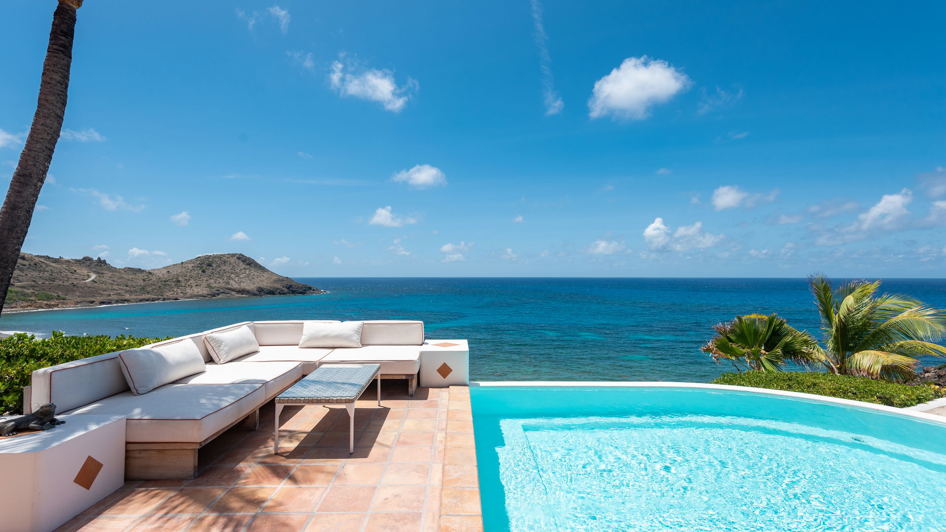 POOL & TERRACE
