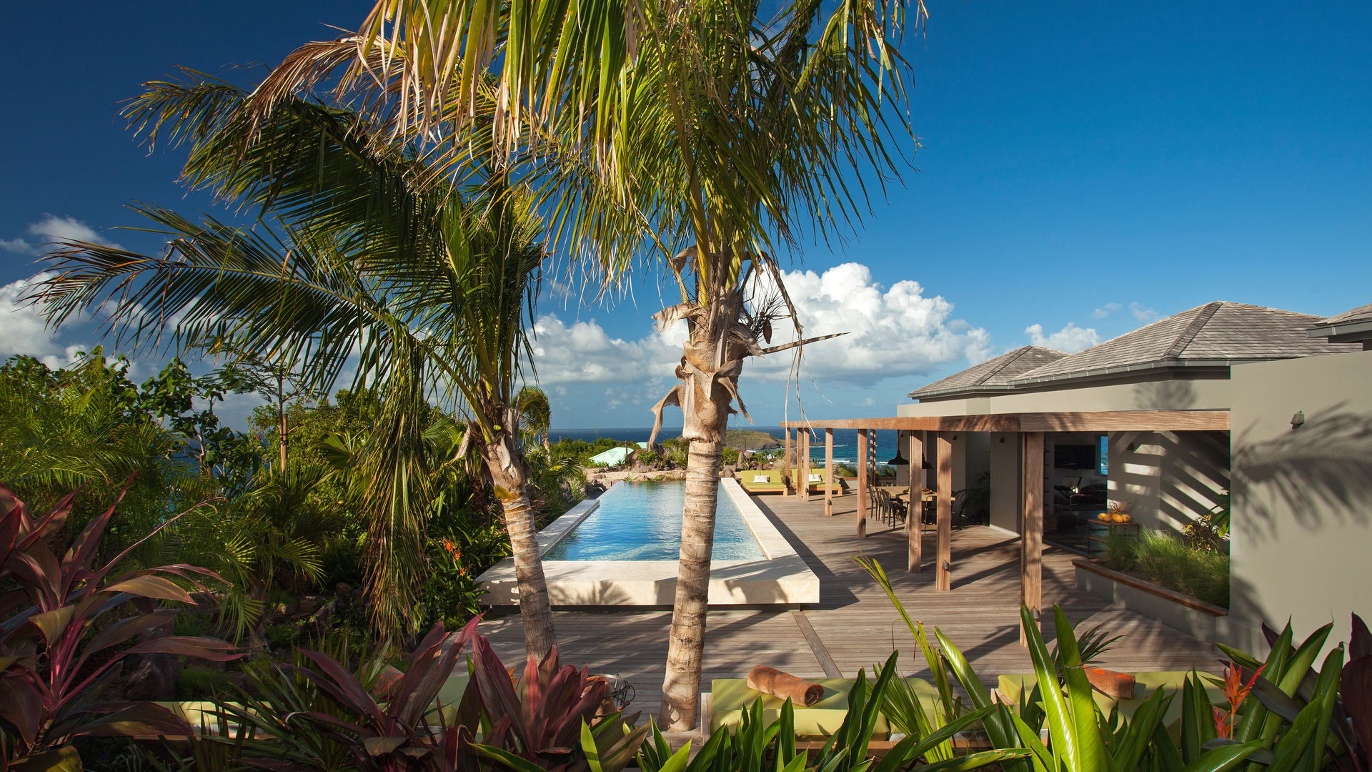 POOL & TERRACE